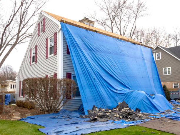 Best Wood Siding Installation  in Eclectic, AL