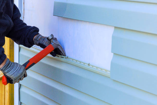 Best Fascia and Soffit Installation  in Eclectic, AL