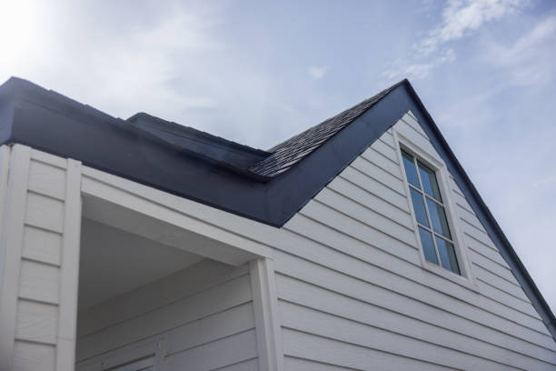 Best Custom Trim and Detailing for Siding  in Eclectic, AL